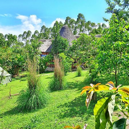Chimpanzee Capital Safari Lodge Bigodi ภายนอก รูปภาพ