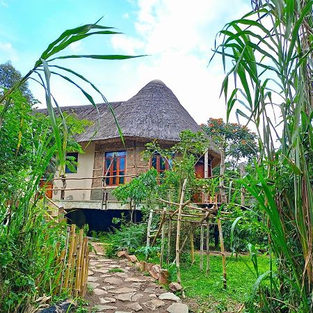 Chimpanzee Capital Safari Lodge Bigodi ภายนอก รูปภาพ
