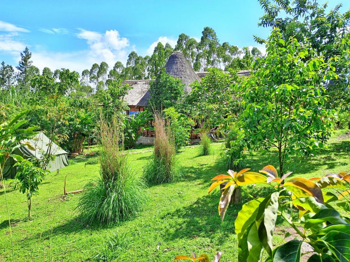 Chimpanzee Capital Safari Lodge Bigodi ภายนอก รูปภาพ
