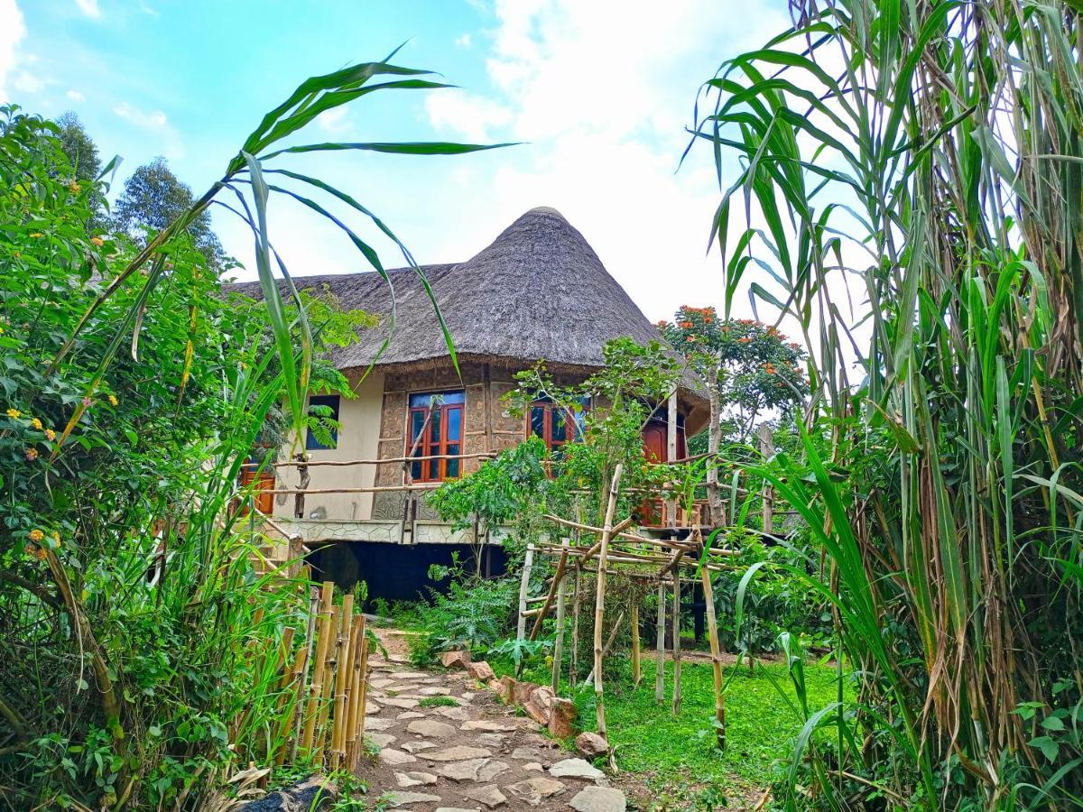 Chimpanzee Capital Safari Lodge Bigodi ภายนอก รูปภาพ