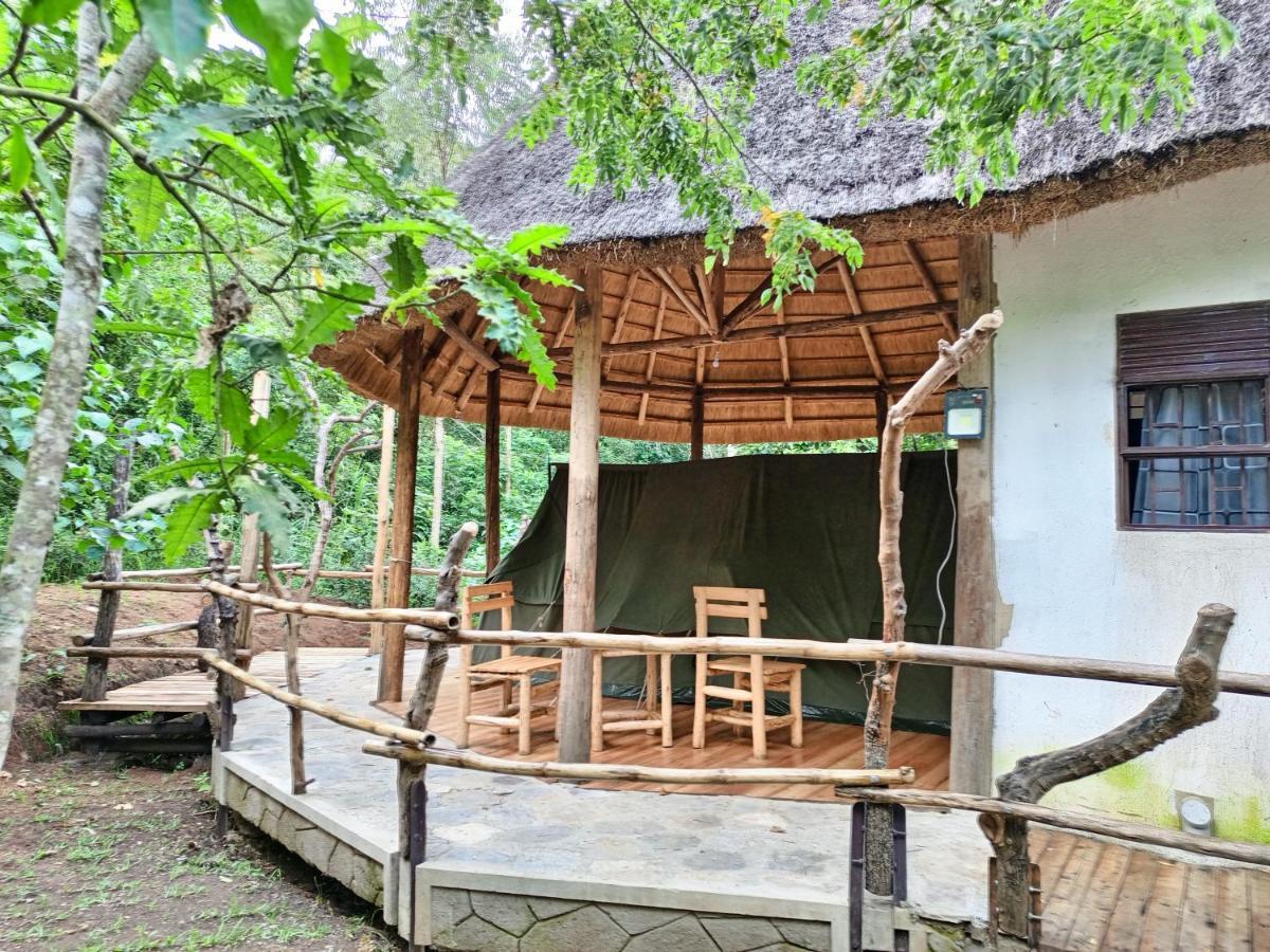 Chimpanzee Capital Safari Lodge Bigodi ภายนอก รูปภาพ