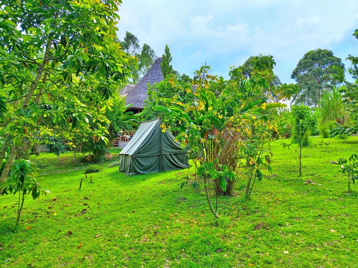 Chimpanzee Capital Safari Lodge Bigodi ภายนอก รูปภาพ