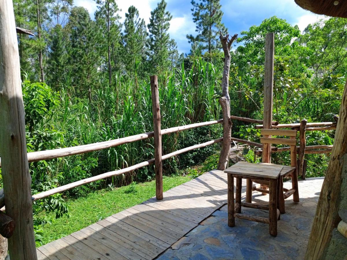 Chimpanzee Capital Safari Lodge Bigodi ภายนอก รูปภาพ