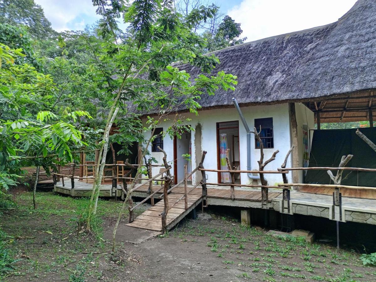 Chimpanzee Capital Safari Lodge Bigodi ภายนอก รูปภาพ