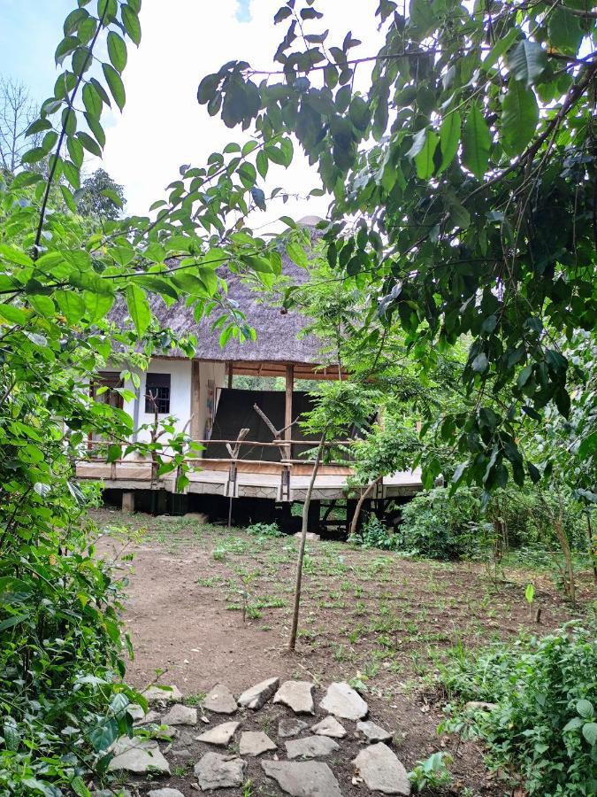 Chimpanzee Capital Safari Lodge Bigodi ภายนอก รูปภาพ