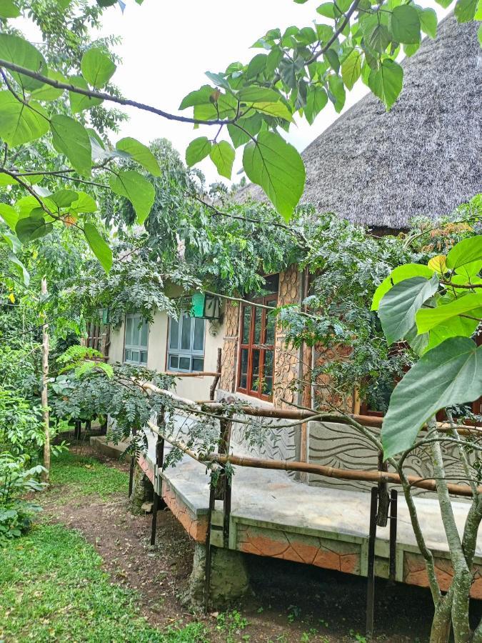 Chimpanzee Capital Safari Lodge Bigodi ภายนอก รูปภาพ
