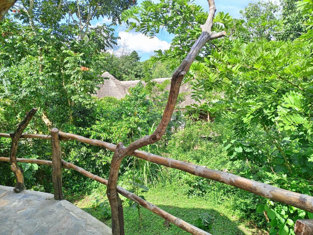 Chimpanzee Capital Safari Lodge Bigodi ภายนอก รูปภาพ