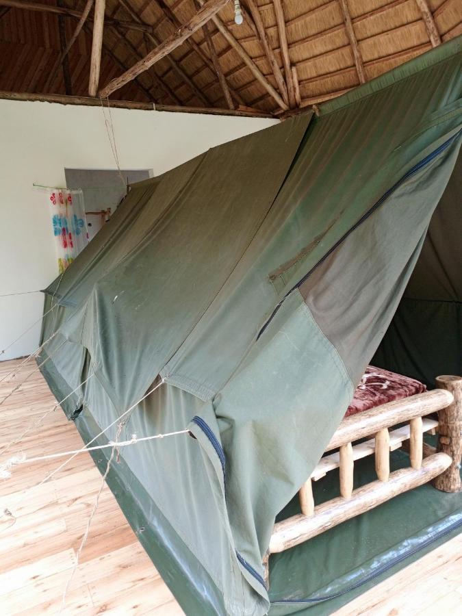 Chimpanzee Capital Safari Lodge Bigodi ภายนอก รูปภาพ
